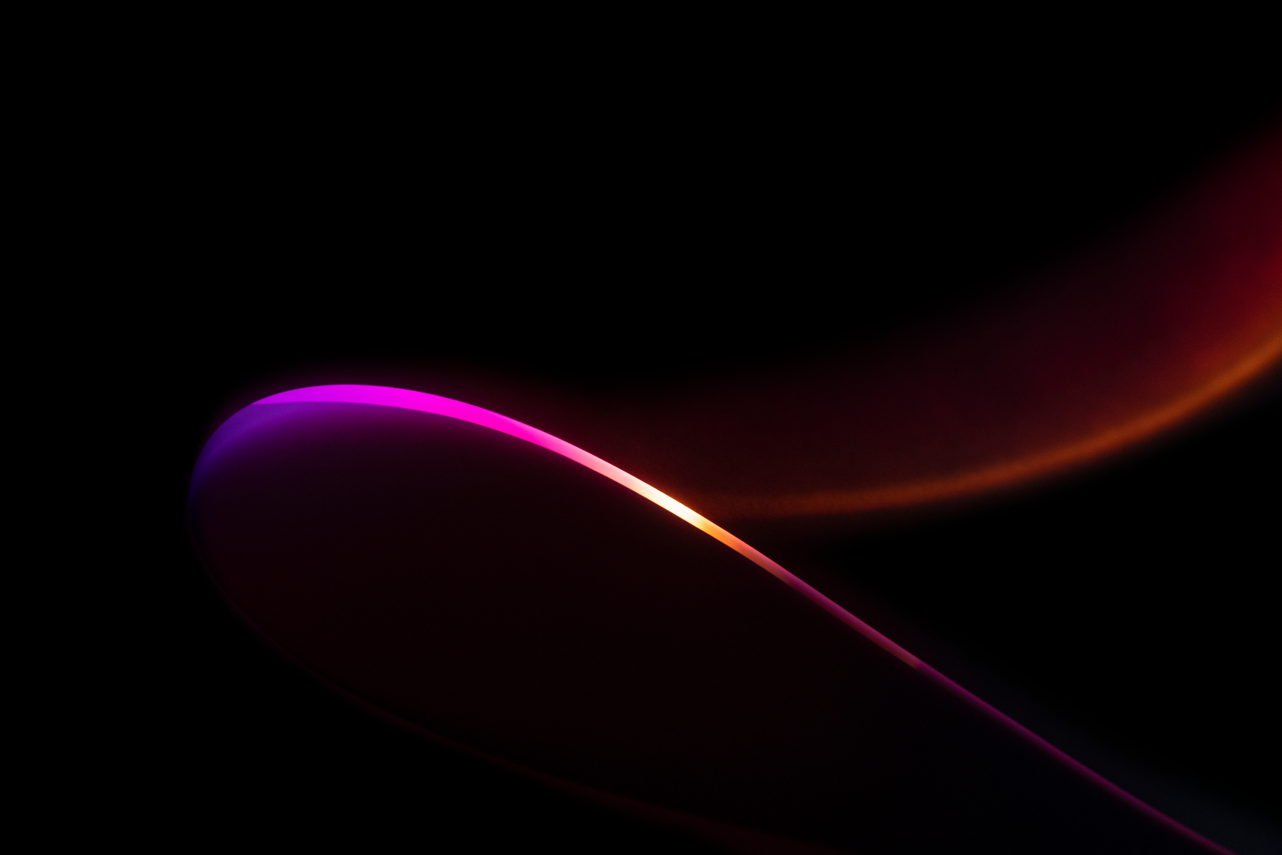 Looking to Launch a Startup? Hire Us